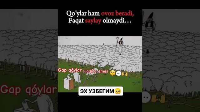 Gap qoylar haqida mas ️ #shorts #tiktok #reels #funny #istagram #million #rek #like #1m Gap qoylar haqida mas ️ #shorts #tiktok #reels #funny #istagram #million #rek #like #1m