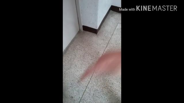 달샤밍과 핑텐의 편의점 ㄱㄱ 달샤밍과 핑텐의 편의점 ㄱㄱ