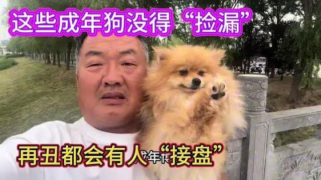 这些成年狗没得“捡漏”,只要是母狗,再丑都会有人“接盘” 这些成年狗没得“捡漏”,只要是母狗,再丑都会有人“接盘”
