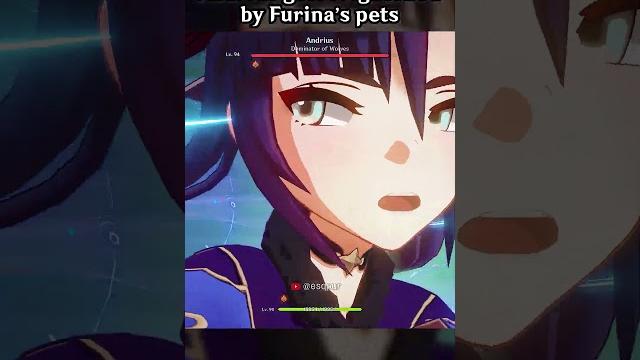 Andrius gets frightened by furina's pets Andrius gets frightened by furina's pets