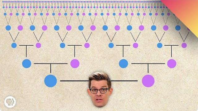 Are we all related? Are we all related?