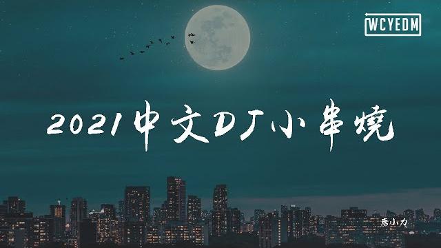 唐小力 - 2021中文dj小串烧 唐小力 - 2021中文dj小串烧