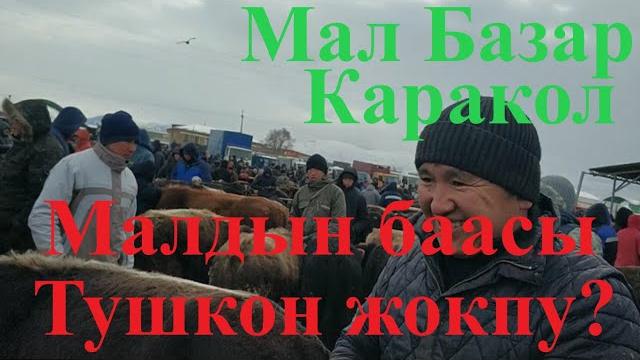 Мал базар 29-ноябрь 2020 каракол Мал базар 29-ноябрь 2020 каракол