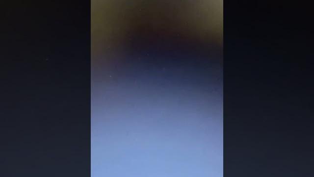 #shorts #turkey #sex #mating #hunting #tom #hen #northcarolina #bowandarrow #conservation #nature #shorts #turkey #sex #mating #hunting #tom #hen #northcarolina #bowandarrow #conservation #nature