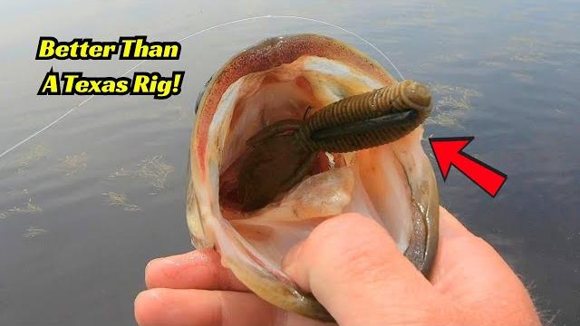 The texas rig replacement! it’s just better! The texas rig replacement! it’s just better!