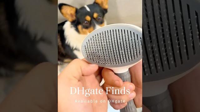 Groom like a pro – stainless steel pet brush Groom like a pro – stainless steel pet brush