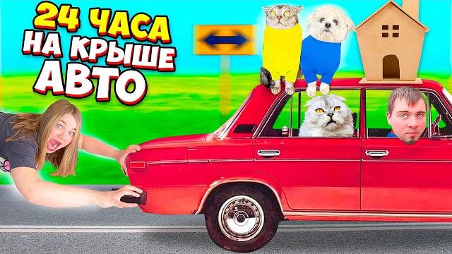 24 часа на крыше машины с котами и собакой 24 часа на крыше машины с котами и собакой