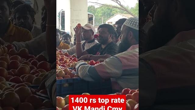 1400rs top rate vk mandi cmy 1400rs top rate vk mandi cmy
