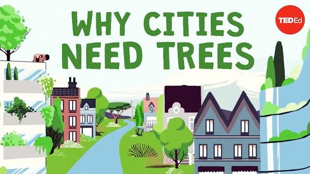 What happens if you cut down all of a city's trees? - stefan al What happens if you cut down all of a city's trees? - stefan al