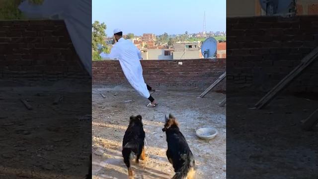 لما الحج ميعرفش ينام منا الكلاب الي عندك لما الحج ميعرفش ينام منا الكلاب الي عندك