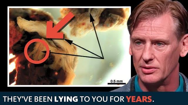 The bible reveals the truth about dinosaurs The bible reveals the truth about dinosaurs