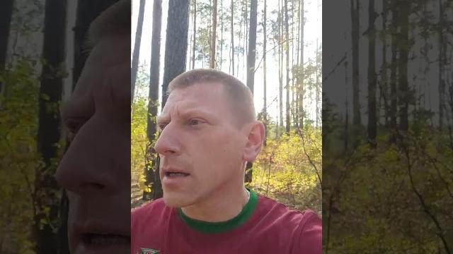 Забытые истины Забытые истины