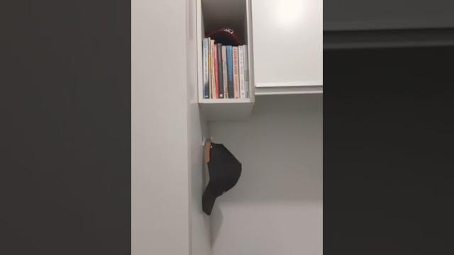 Rotina da noite Rotina da noite