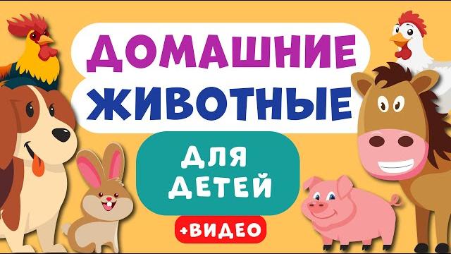 Домашние животные для детей. учим названия домашних животных. развивающее видео для детей. Домашние животные для детей. учим названия домашних животных. развивающее видео для детей.