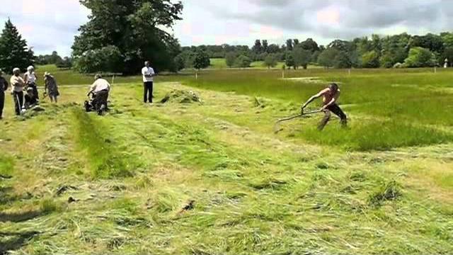 Bcs mower vs scythe 2012 Bcs mower vs scythe 2012