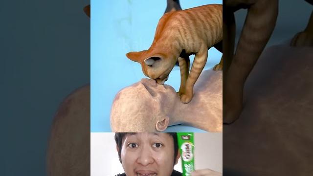 Tubuh manusia dimakan kucing anjing, akhirnya... | kaleb andri #shorts #facts #tipsandtricks Tubuh manusia dimakan kucing anjing, akhirnya... | kaleb andri #shorts #facts #tipsandtricks