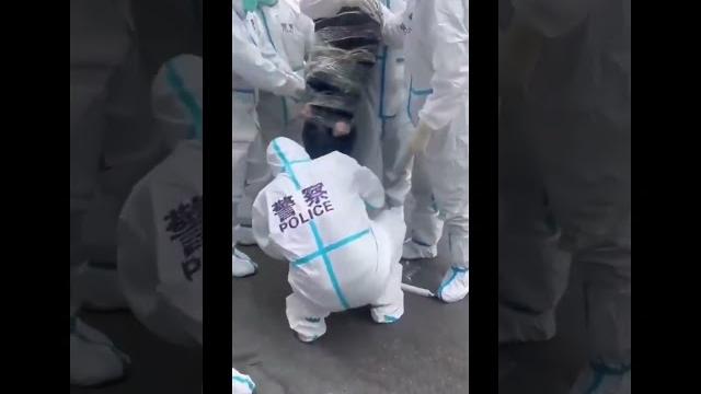 这帮警察在玩sm么? 这帮警察在玩sm么?