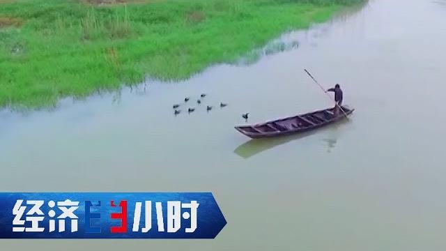 《经济半小时》洞庭湖:扫除“暗网”暖人心 20191230 | cctv财经 《经济半小时》洞庭湖:扫除“暗网”暖人心 20191230 | cctv财经