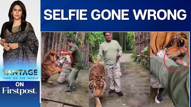 Indian man attacked by tiger while taking selfie in thailand | vantage with palki sharma | n18g Indian man attacked by tiger while taking selfie in thailand | vantage with palki sharma | n18g