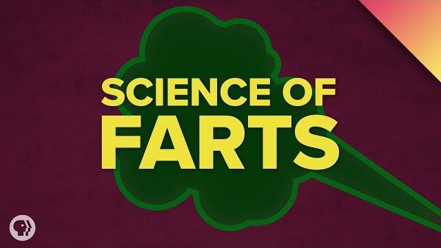 The science of farts The science of farts