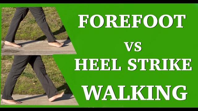Forefoot vs heel strike walking-a closer examination Forefoot vs heel strike walking-a closer examination
