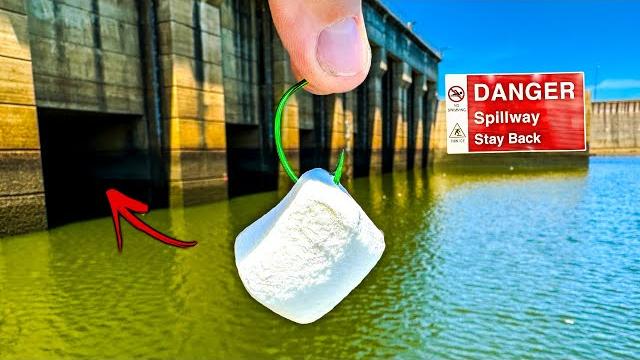 Fishing for spillway monsters w/ unusual bait!! Fishing for spillway monsters w/ unusual bait!!