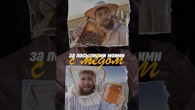 Сколько можно заработать с одного улья? иван халилов для своих Сколько можно заработать с одного улья? иван халилов для своих