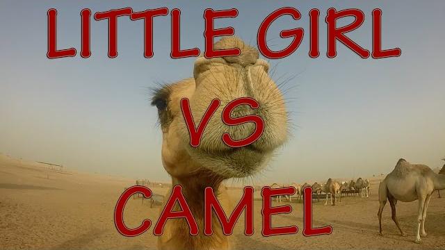 Little girl vs camel Little girl vs camel