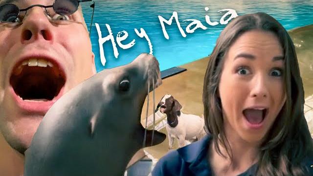 Venjent - hey maia Venjent - hey maia