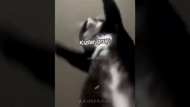 İstiyor düşman kızlar grup! İstiyor düşman kızlar grup!