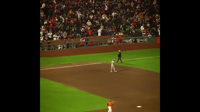 A day at the ballpark ️ A day at the ballpark ️