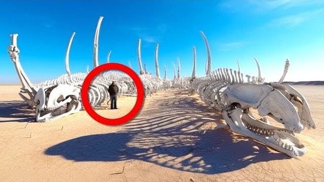 Самые загадочные открытия в пустынях Самые загадочные открытия в пустынях