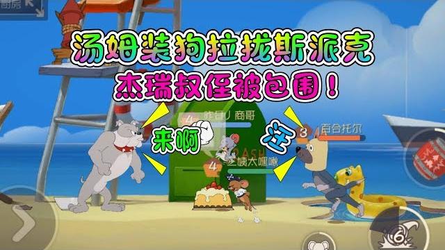 猫和老鼠手游:汤姆装狗拉拢斯派克!杰瑞和泰菲被团团包围! 猫和老鼠手游:汤姆装狗拉拢斯派克!杰瑞和泰菲被团团包围!