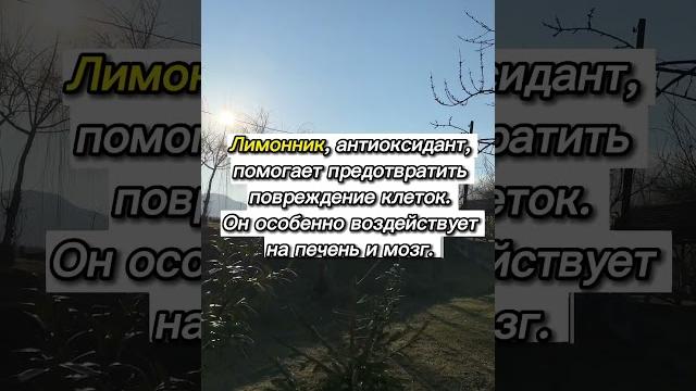 Анализы, которые демонстрируют воспаление церулоплазминс-реактивный белок фибриногенферритин Анализы, которые демонстрируют воспаление церулоплазминс-реактивный белок фибриногенферритин