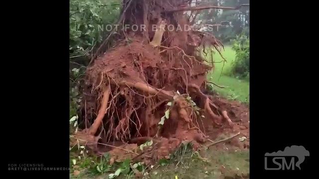 06-19-2025- burnt chimney(franklin county) va- destructive severe thunderstorm . trees down 06-19-2025- burnt chimney(franklin county) va- destructive severe thunderstorm . trees down