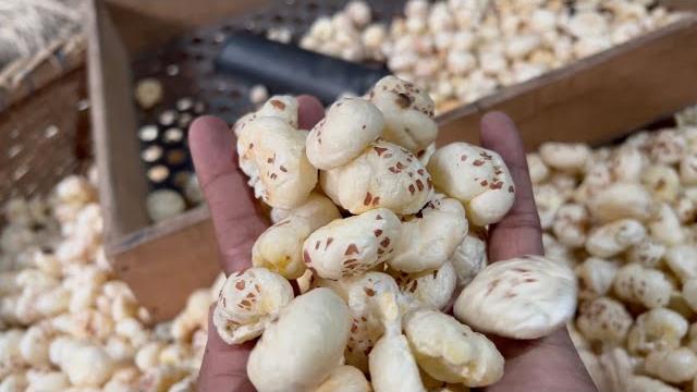 Complete process of making makhana (fox nut) | indian food Complete process of making makhana (fox nut) | indian food
