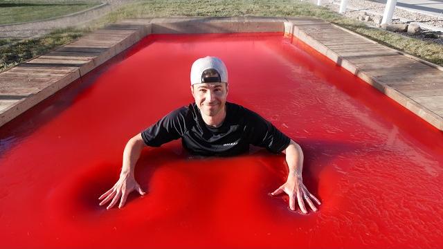 World's largest jello pool- can you swim in jello? World's largest jello pool- can you swim in jello?