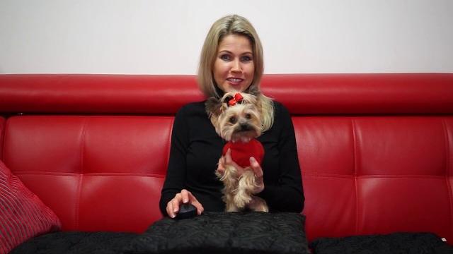 Простые правила дрессировки йорка. наши результаты. Простые правила дрессировки йорка. наши результаты.