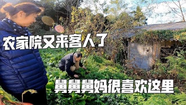 农家院又来客人了,舅舅舅妈很喜欢这里,开始计划如何种地养猪了【肉肉夫妻房车记】 农家院又来客人了,舅舅舅妈很喜欢这里,开始计划如何种地养猪了【肉肉夫妻房车记】