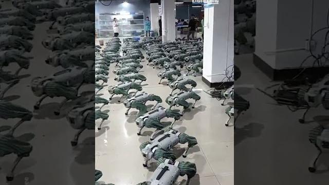 The robots are coming The robots are coming