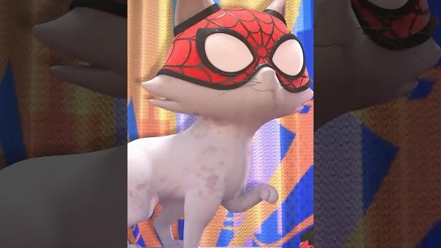 Spidey cat, spidey cat watch more of this episode here: https://youtu.be/7ggb6ixsgt8 Spidey cat, spidey cat watch more of this episode here: https://youtu.be/7ggb6ixsgt8