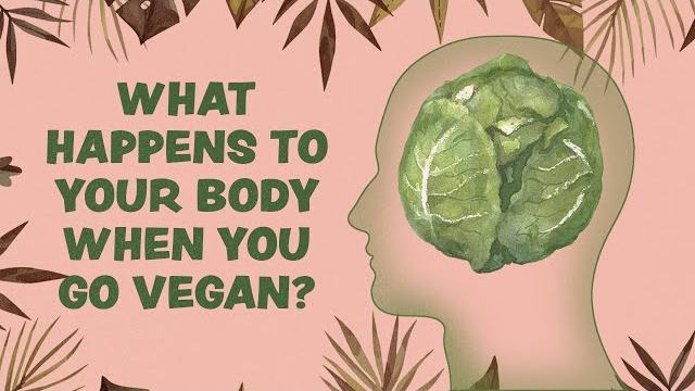 What happens to your body when you go vegan? What happens to your body when you go vegan?