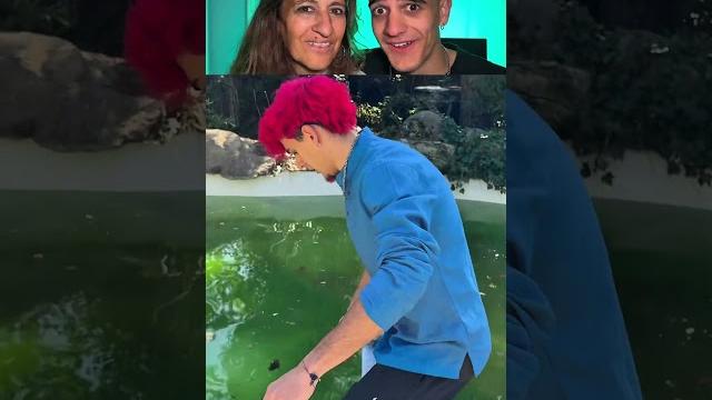 Mi madre reacciona a la piscina tóxica Mi madre reacciona a la piscina tóxica