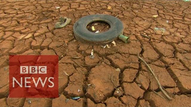'brazil drought linked to amazon deforestation' 'brazil drought linked to amazon deforestation'