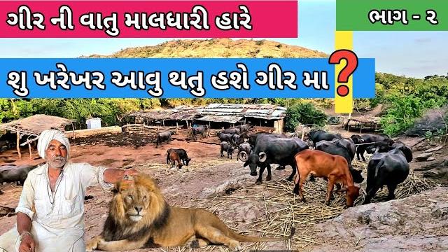 ગીર ની વાતુ માલધારી હારે | maldhari na nehda ni moj | gir forst | gir jungle na maldhari | gujrati ગીર ની વાતુ માલધારી હારે | maldhari na nehda ni moj | gir forst | gir jungle na maldhari | gujrati