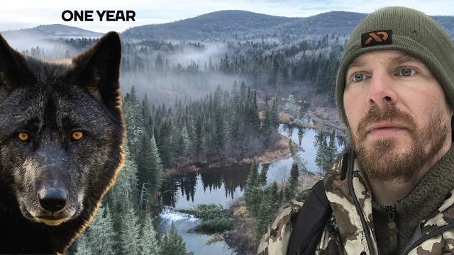 |year one| building a log cabin + homestead in the wild |year one| building a log cabin + homestead in the wild