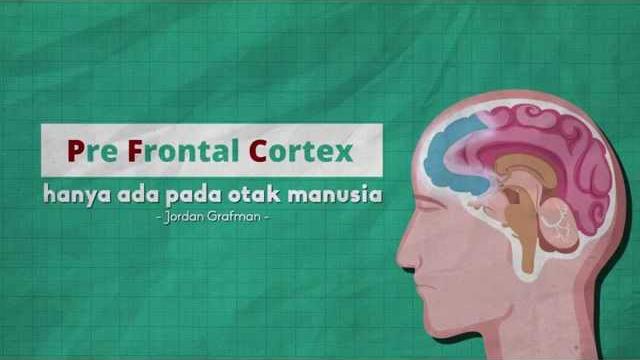 Bahaya pornografi : merusak otak Bahaya pornografi : merusak otak