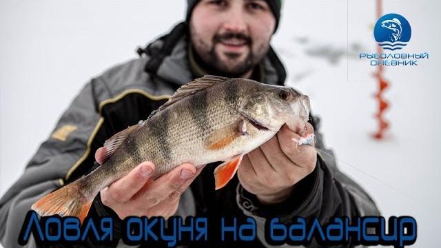 Ловля окуня на балансир видео : рыболовный дневник Ловля окуня на балансир видео : рыболовный дневник