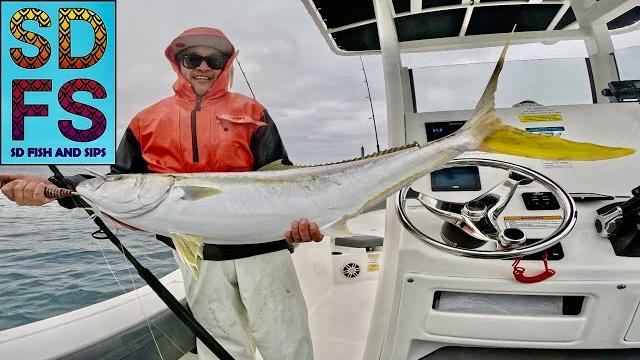 Nam's new setup | yellowtail fishing la jolla squid | freedom boat club san diego 2025 sdfs Nam's new setup | yellowtail fishing la jolla squid | freedom boat club san diego 2025 sdfs