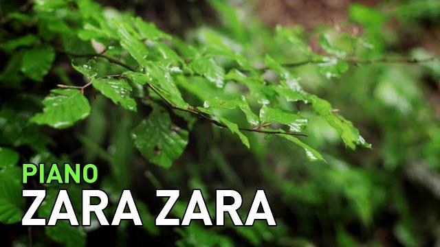 Zara zara (rehnaa hai terre dil mein) piano instrumental Zara zara (rehnaa hai terre dil mein) piano instrumental